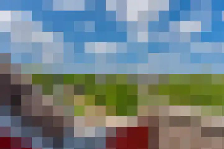 Regge 30 Rotterdam thumbnail 35