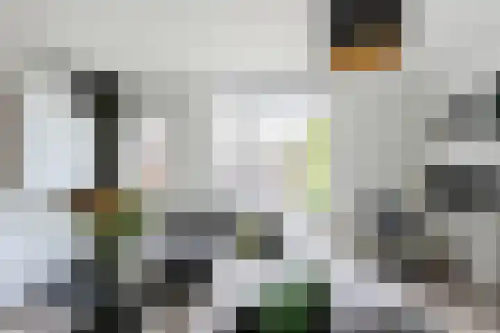 Regge 30 Rotterdam thumbnail 8