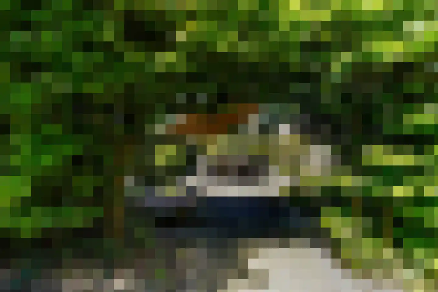 Regge 59 Tilburg thumbnail 48