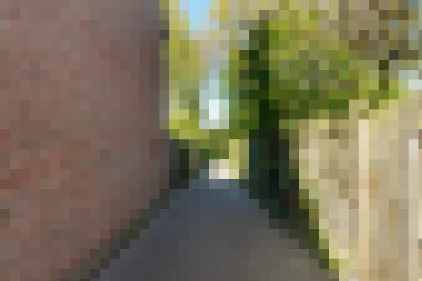 Regge 59 Tilburg thumbnail 61
