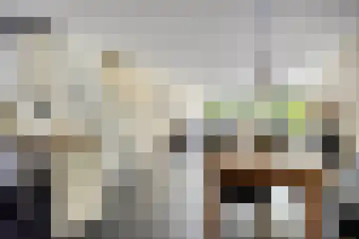 Regge 6 Veenendaal thumbnail 14