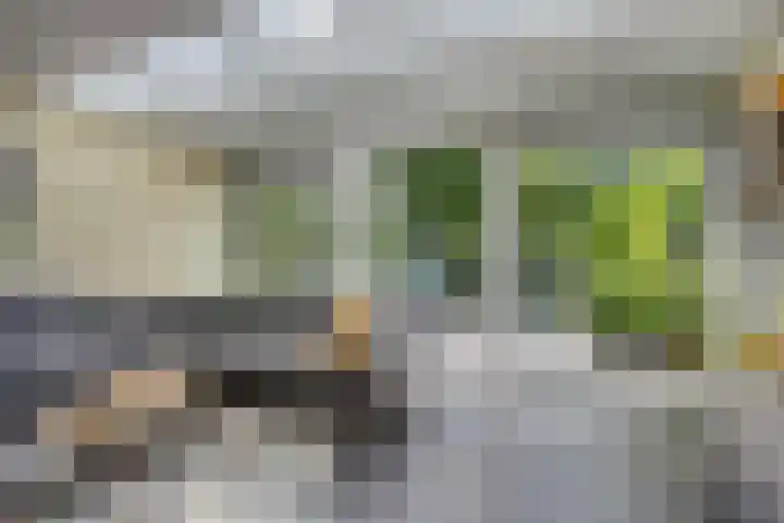 Regge 6 Veenendaal thumbnail 15