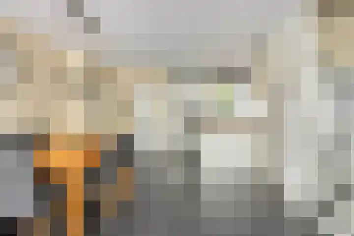Regge 6 Veenendaal thumbnail 17