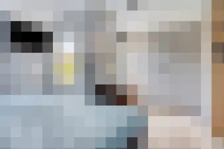 Regge 6 Veenendaal thumbnail 23