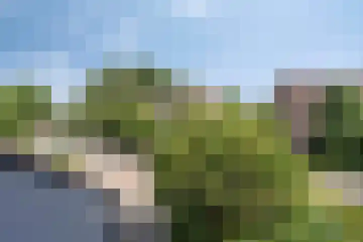 Regge 6 Veenendaal thumbnail 25