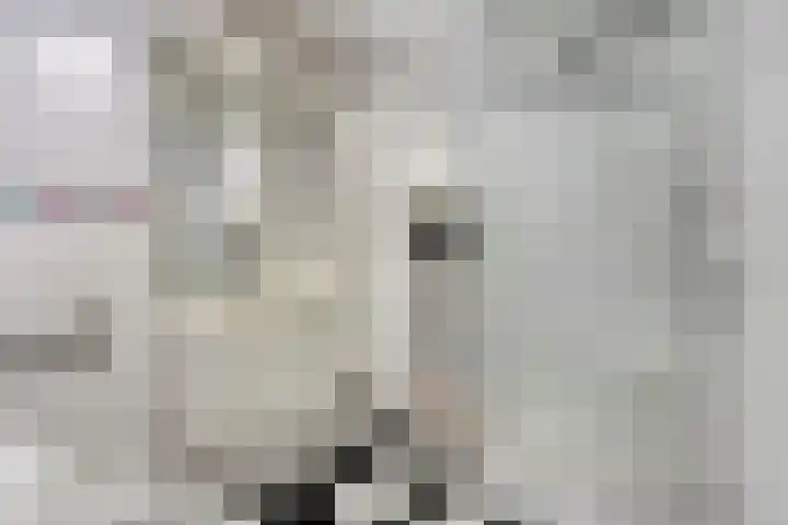 Regge 6 Veenendaal thumbnail 26
