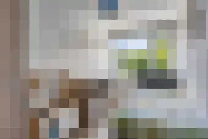 Regge 6 Veenendaal thumbnail 29