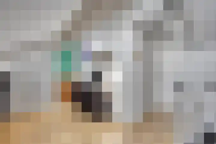 Regge 6 Veenendaal thumbnail 30