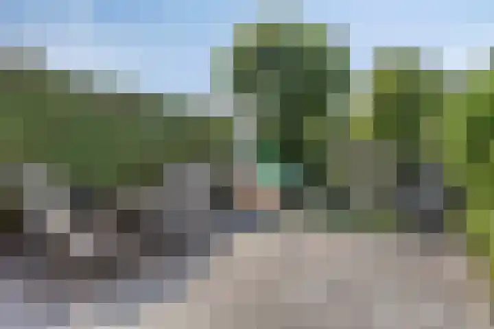Regge 6 Veenendaal thumbnail 34