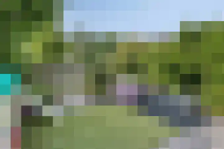 Regge 6 Veenendaal thumbnail 35