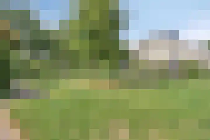 Regge 6 Veenendaal thumbnail 36