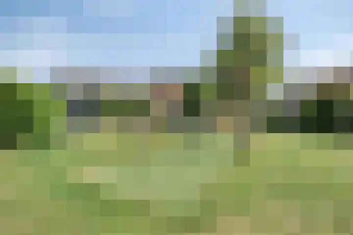 Regge 6 Veenendaal thumbnail 38