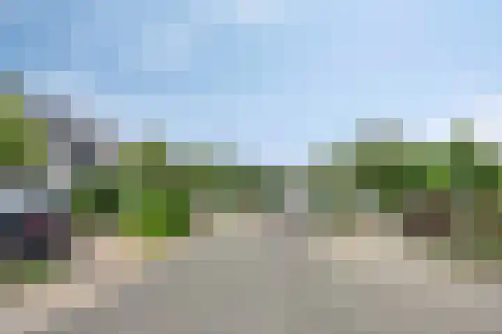 Regge 6 Veenendaal thumbnail 39