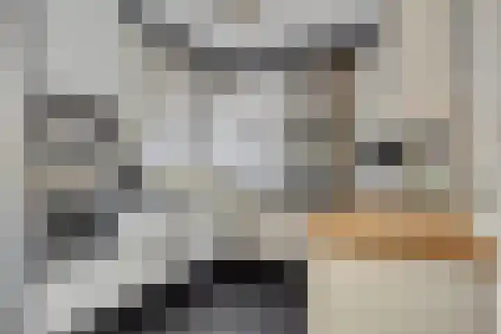 Regge 6 Veenendaal thumbnail 4