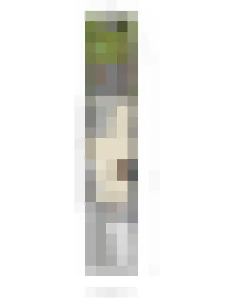 Regge 6 Veenendaal thumbnail 43