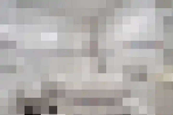 Regge 6 Veenendaal thumbnail 5