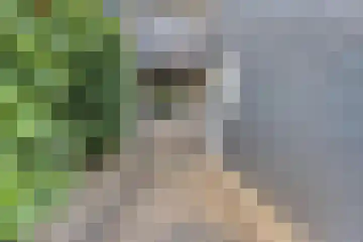 Regge 6 Veenendaal thumbnail 8