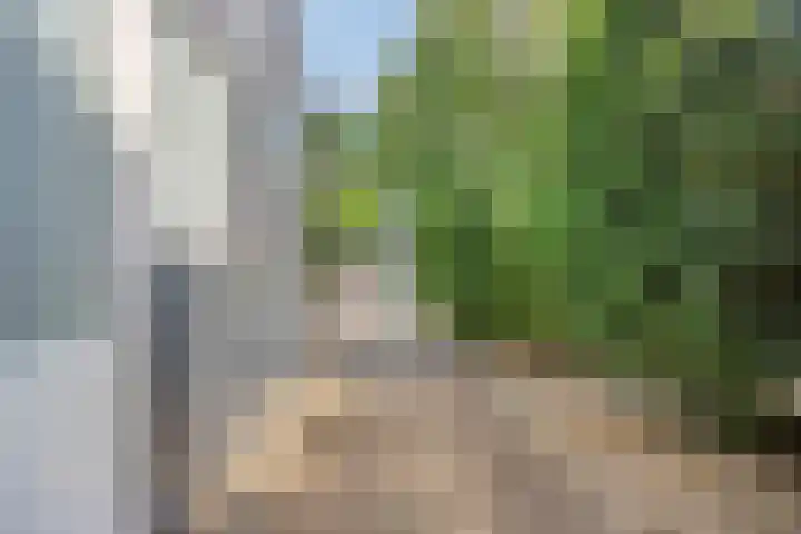 Regge 6 Veenendaal thumbnail 9