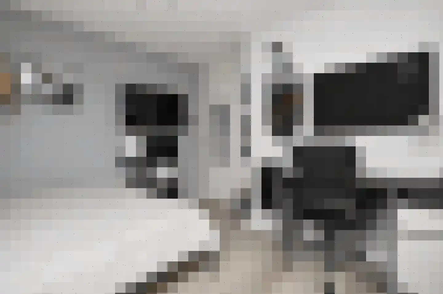Regge 7 Deurne thumbnail 15