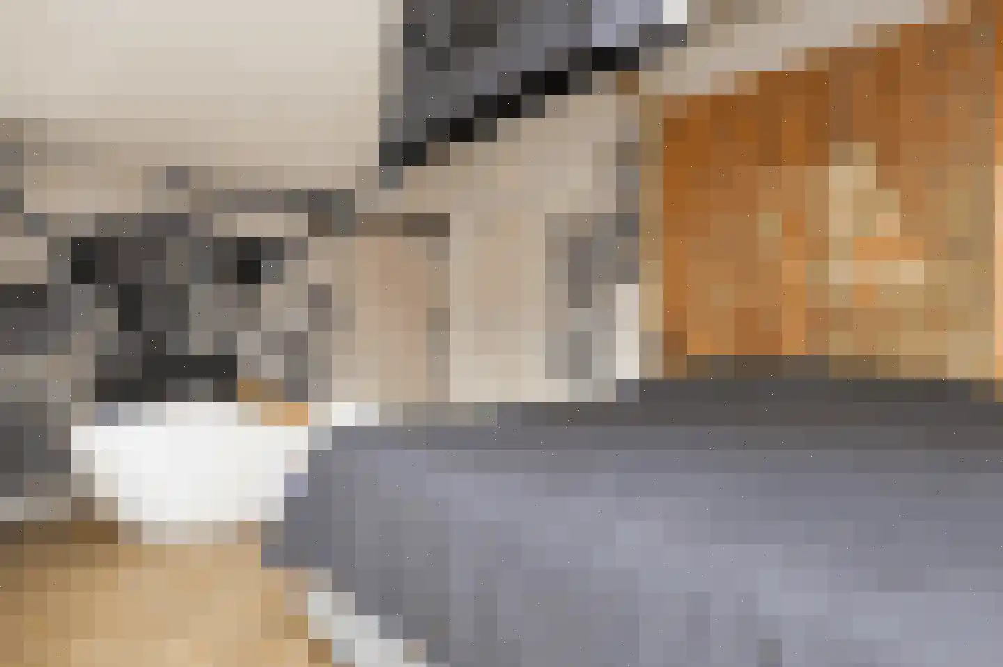 Regge 7 Deurne thumbnail 22