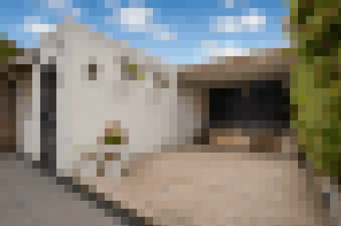 Regge 7 Deurne thumbnail 27