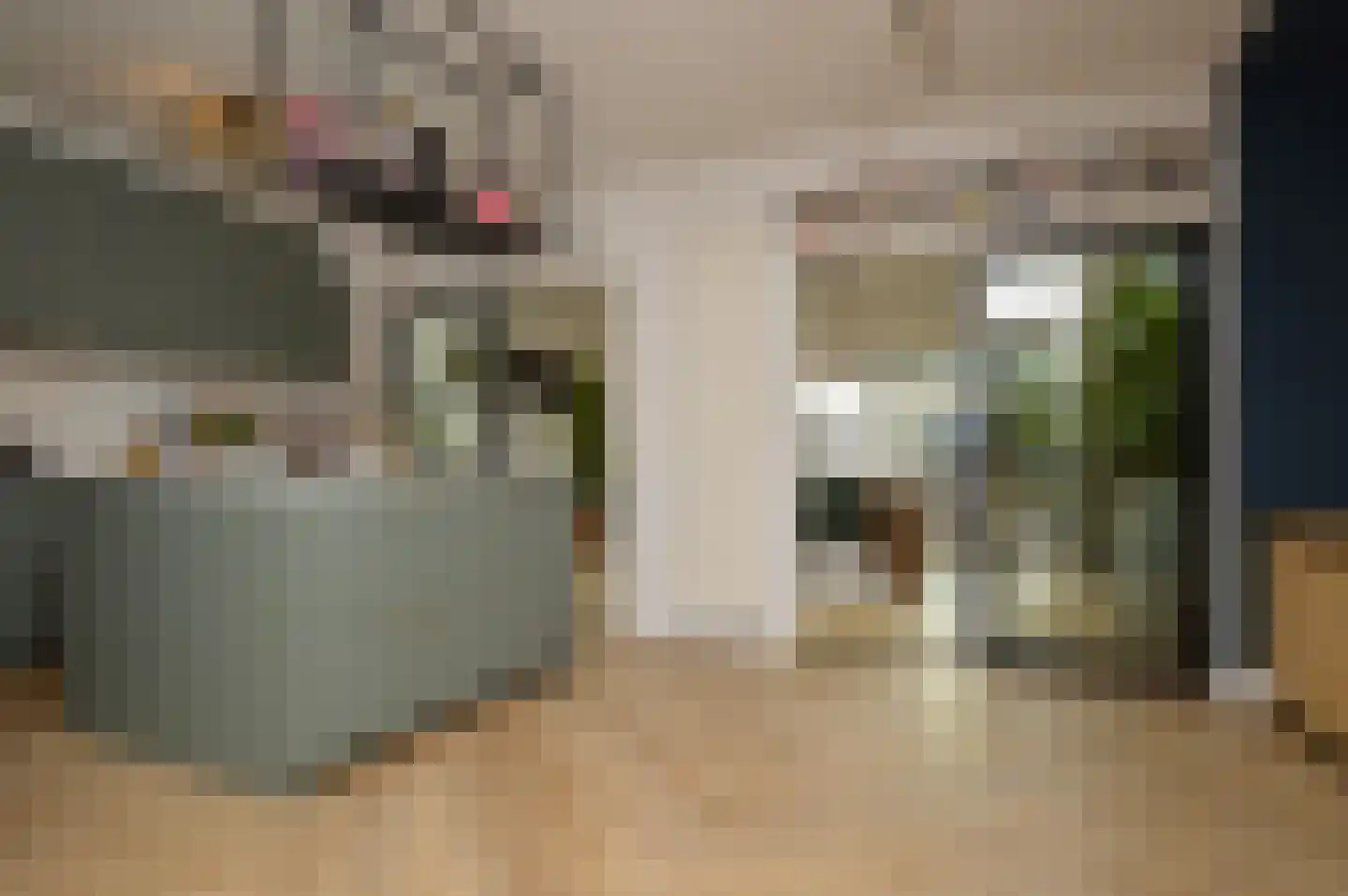 Regge 7 Deurne thumbnail 6