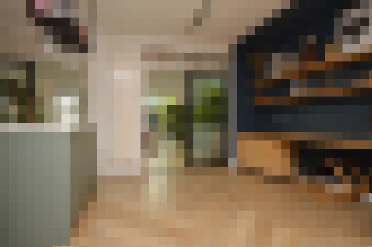 Regge 7 Deurne thumbnail 7