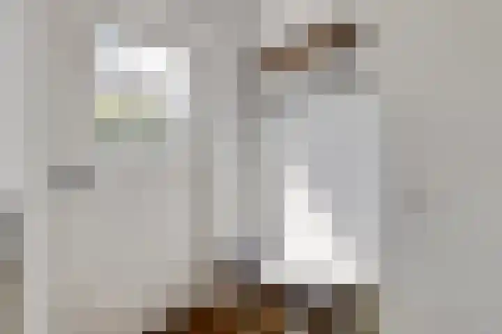 Regge 74 Tilburg thumbnail 4
