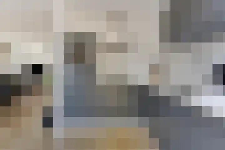 Regge 74 Tilburg thumbnail 8