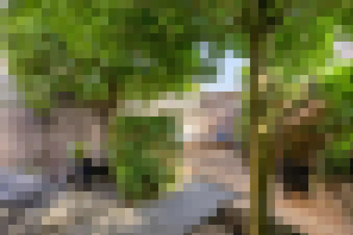 Regge 80 Tilburg thumbnail 22