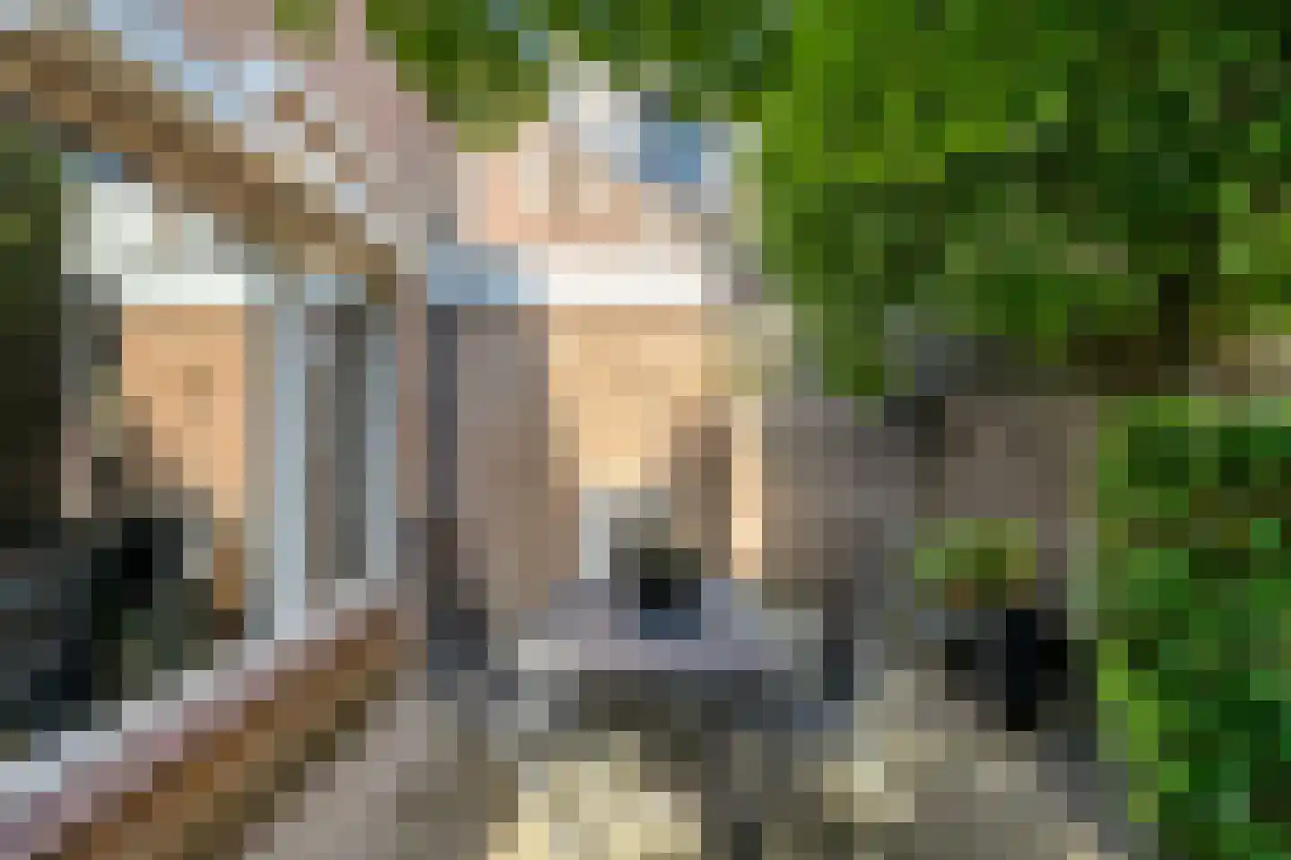 Regge 80 Tilburg thumbnail 23