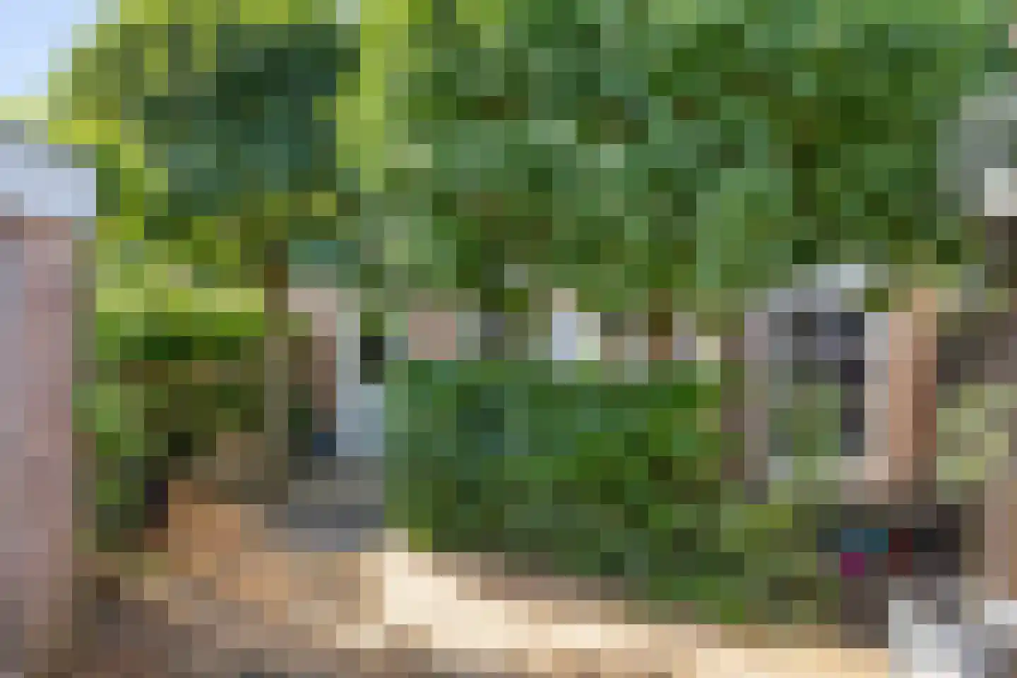 Regge 80 Tilburg thumbnail 25