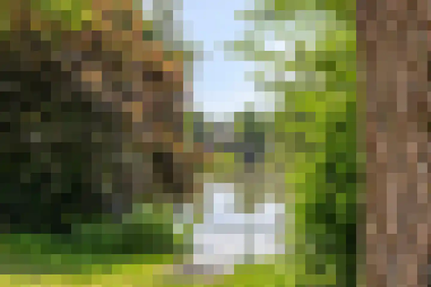 Regge 80 Tilburg thumbnail 30