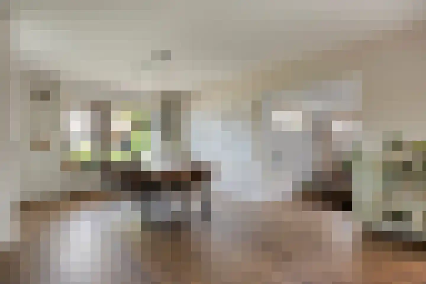 Regge 80 Tilburg thumbnail 9