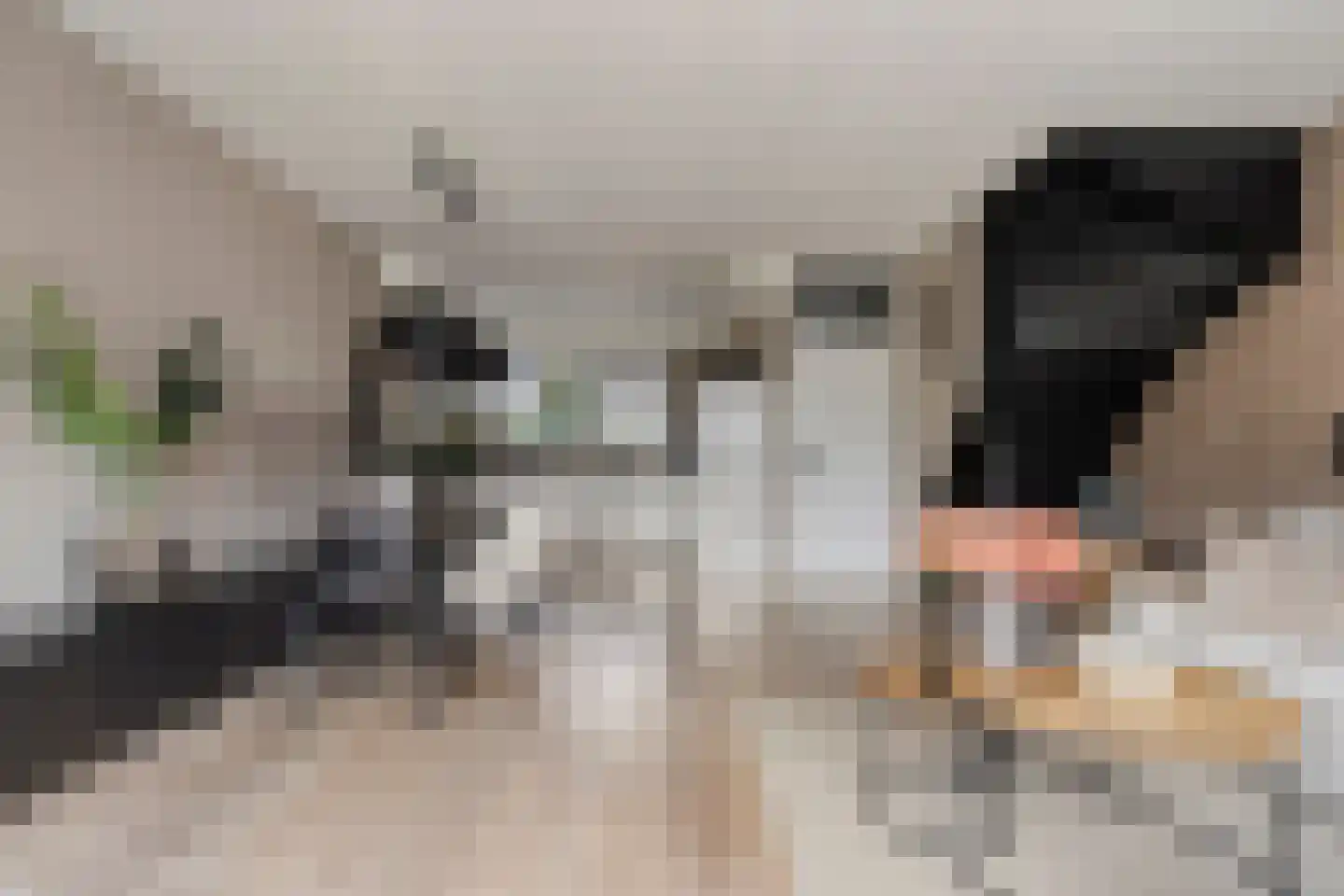 Reggedal 13 Capelle aan den IJssel thumbnail 11