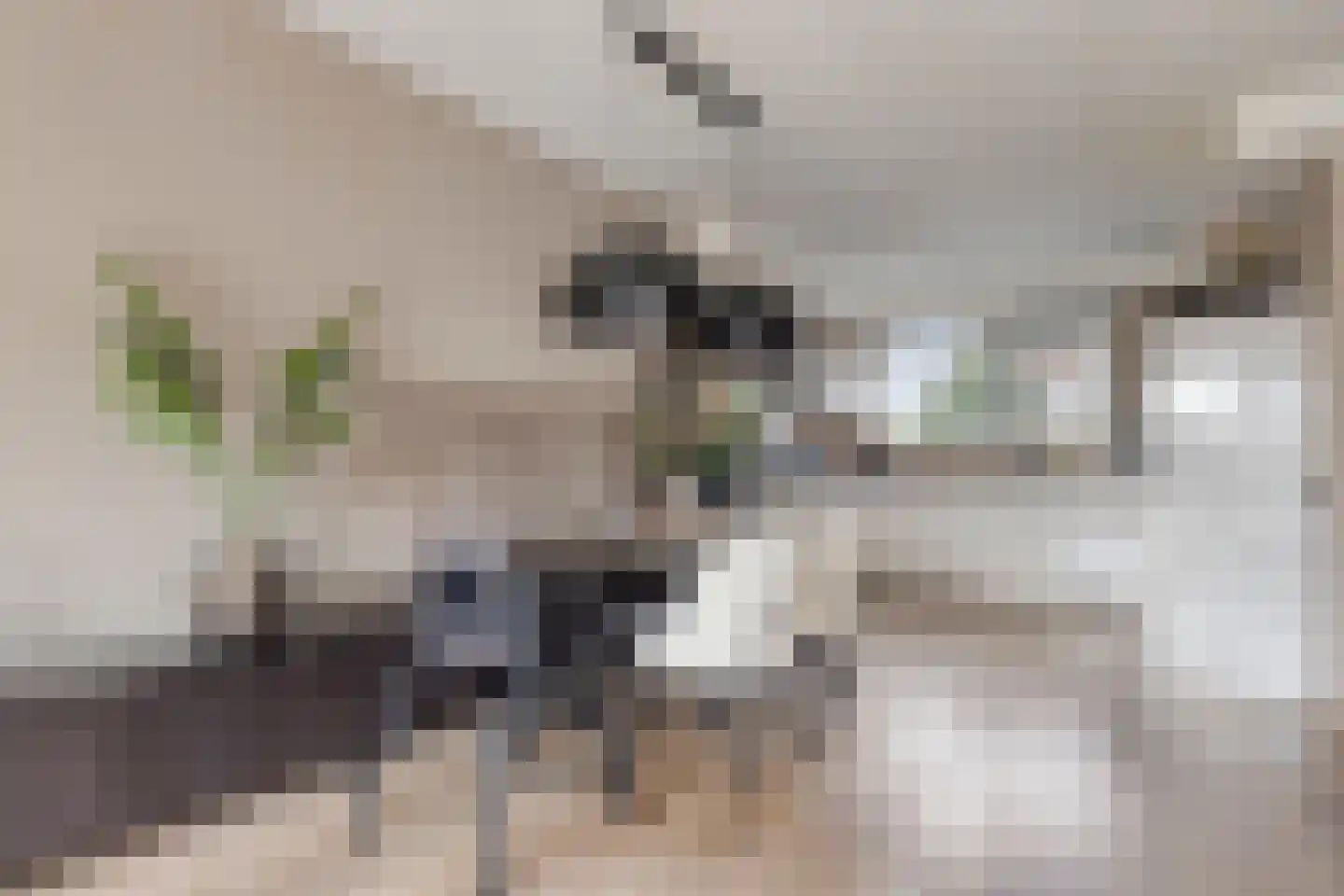 Reggedal 13 Capelle aan den IJssel thumbnail 14