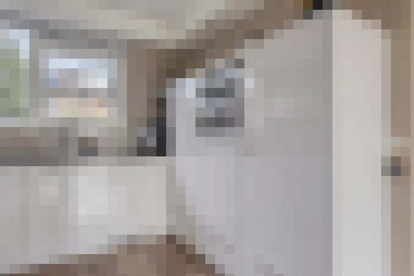Reggedal 13 Capelle aan den IJssel thumbnail 17