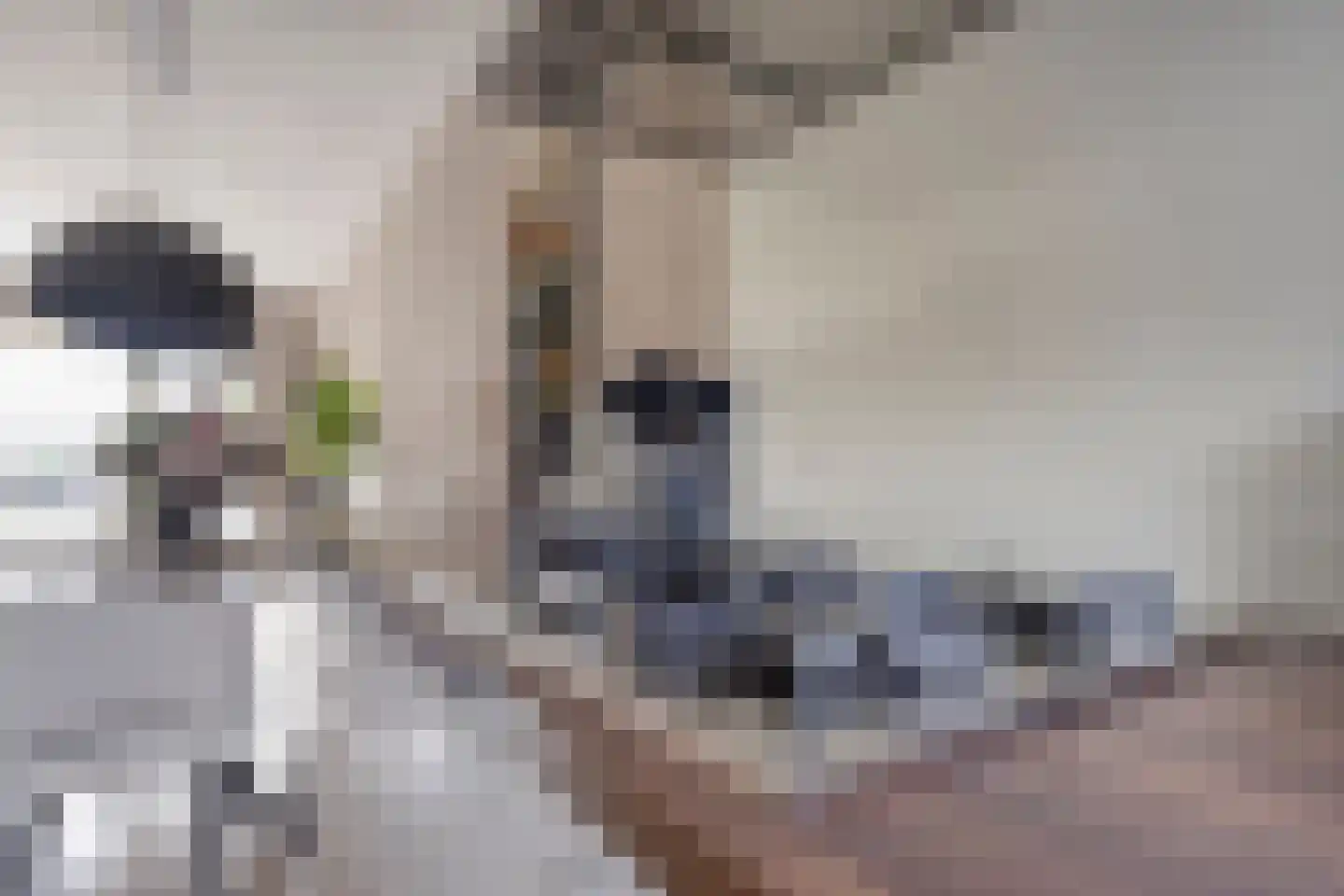Reggedal 13 Capelle aan den IJssel thumbnail 18