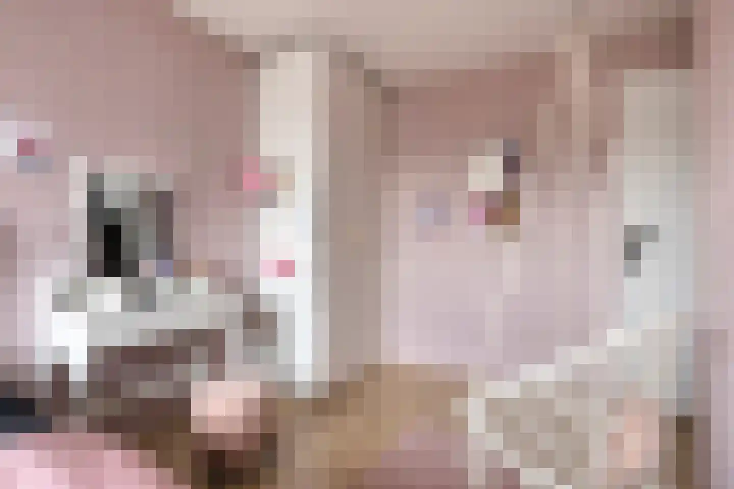 Reggedal 13 Capelle aan den IJssel thumbnail 21