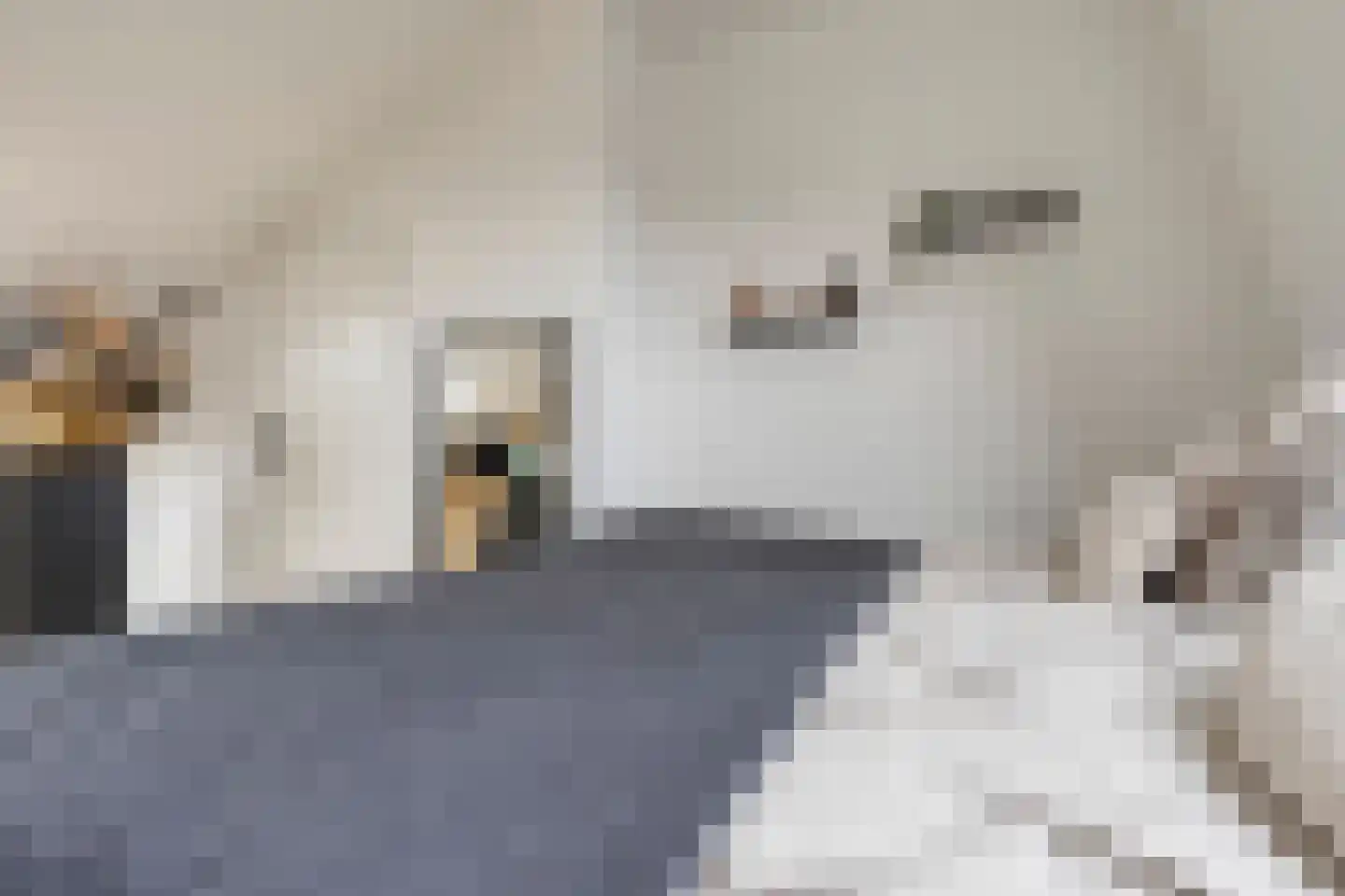 Reggedal 13 Capelle aan den IJssel thumbnail 36