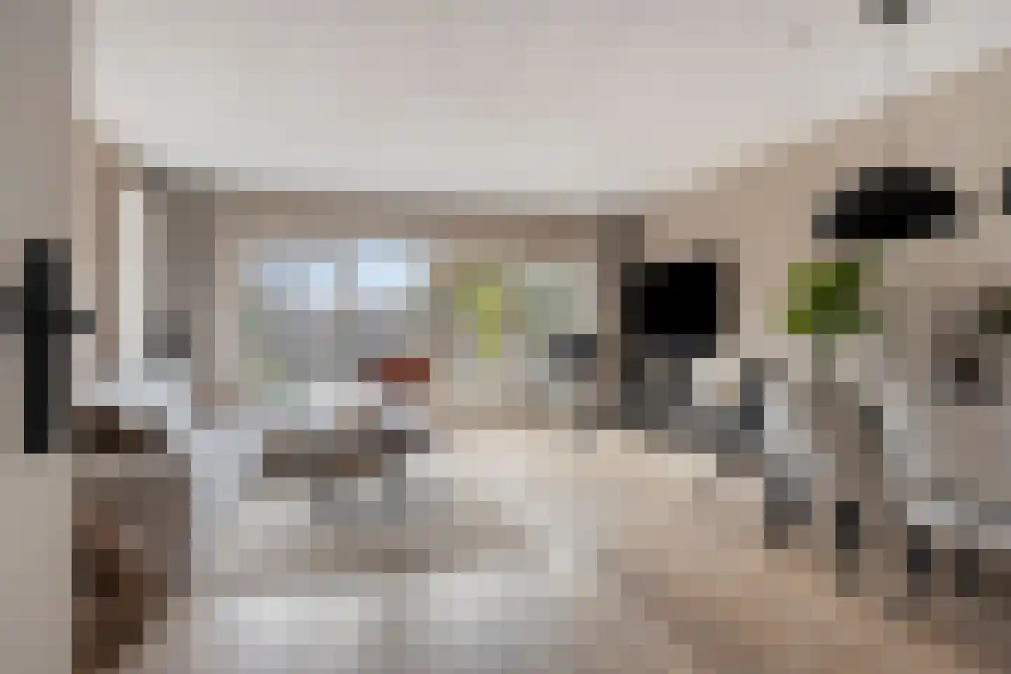 Reggedal 13 Capelle aan den IJssel thumbnail 9