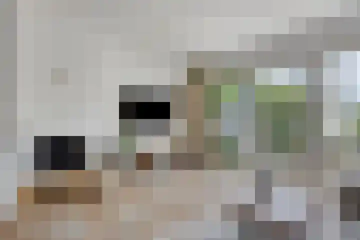 Reggedal 15 Capelle aan den IJssel thumbnail 11