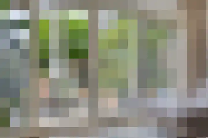 Reggedal 15 Capelle aan den IJssel thumbnail 12