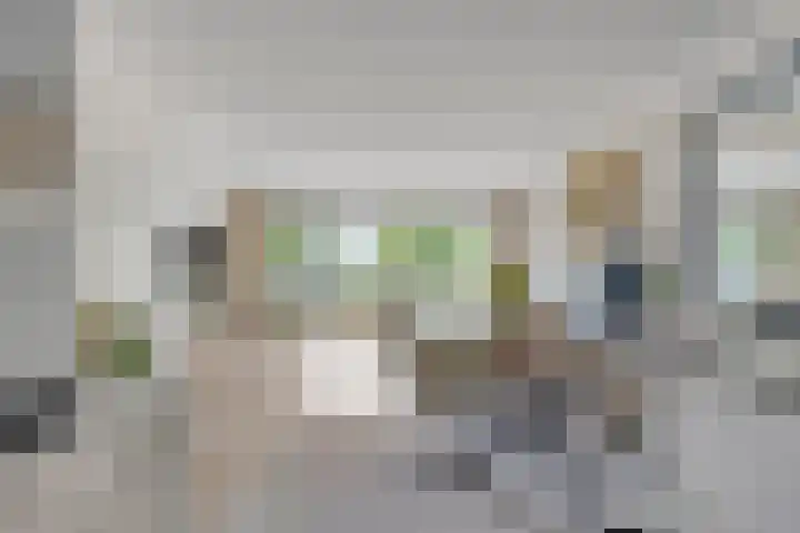 Reggedal 15 Capelle aan den IJssel thumbnail 15