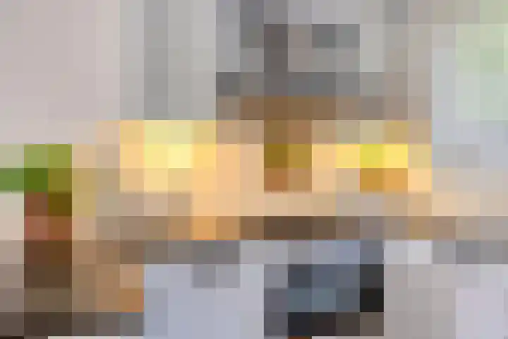 Reggedal 15 Capelle aan den IJssel thumbnail 17