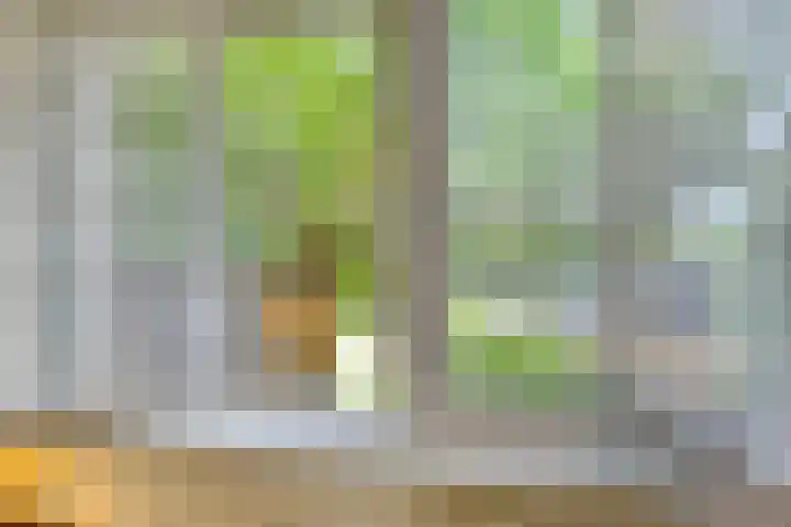 Reggedal 15 Capelle aan den IJssel thumbnail 18