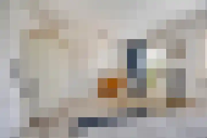 Reggedal 15 Capelle aan den IJssel thumbnail 22