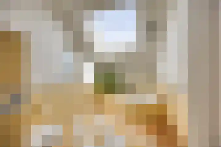 Reggedal 15 Capelle aan den IJssel thumbnail 24