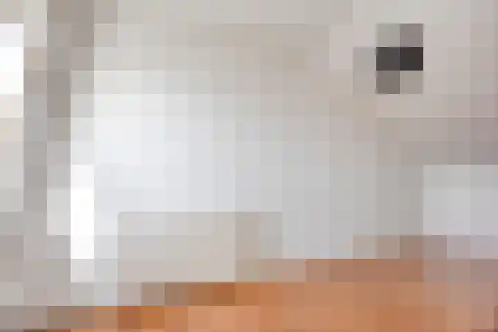 Reggedal 15 Capelle aan den IJssel thumbnail 30