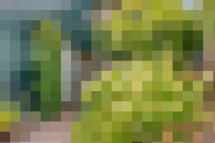 Reggedal 15 Capelle aan den IJssel thumbnail 31